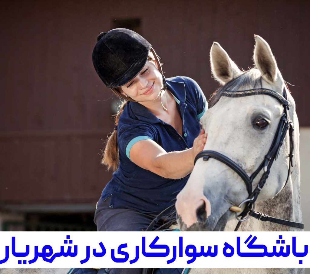 باشگاه سوارکاری شهریار | باشگاه سوارکاری شیهه | 09123166467