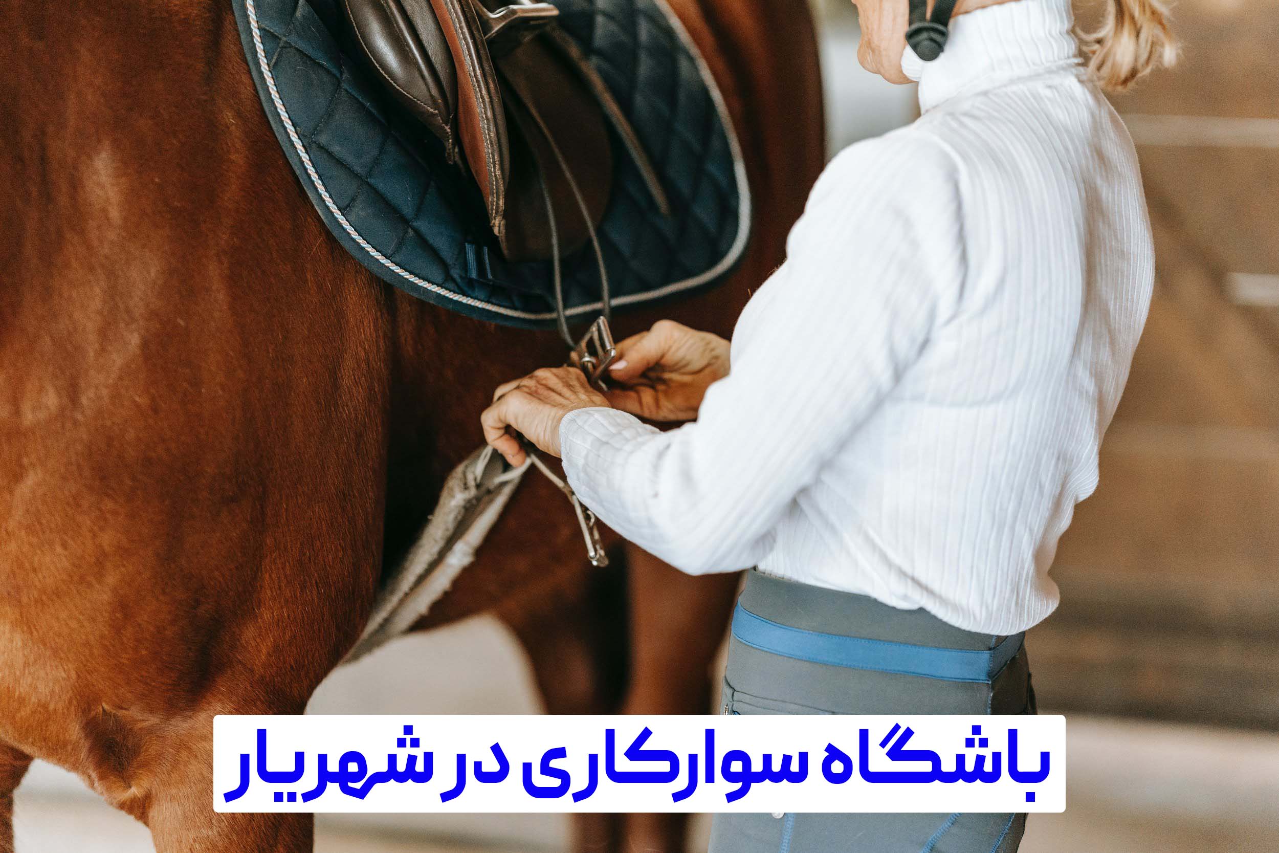باشگاه سوارکاری شهریار
