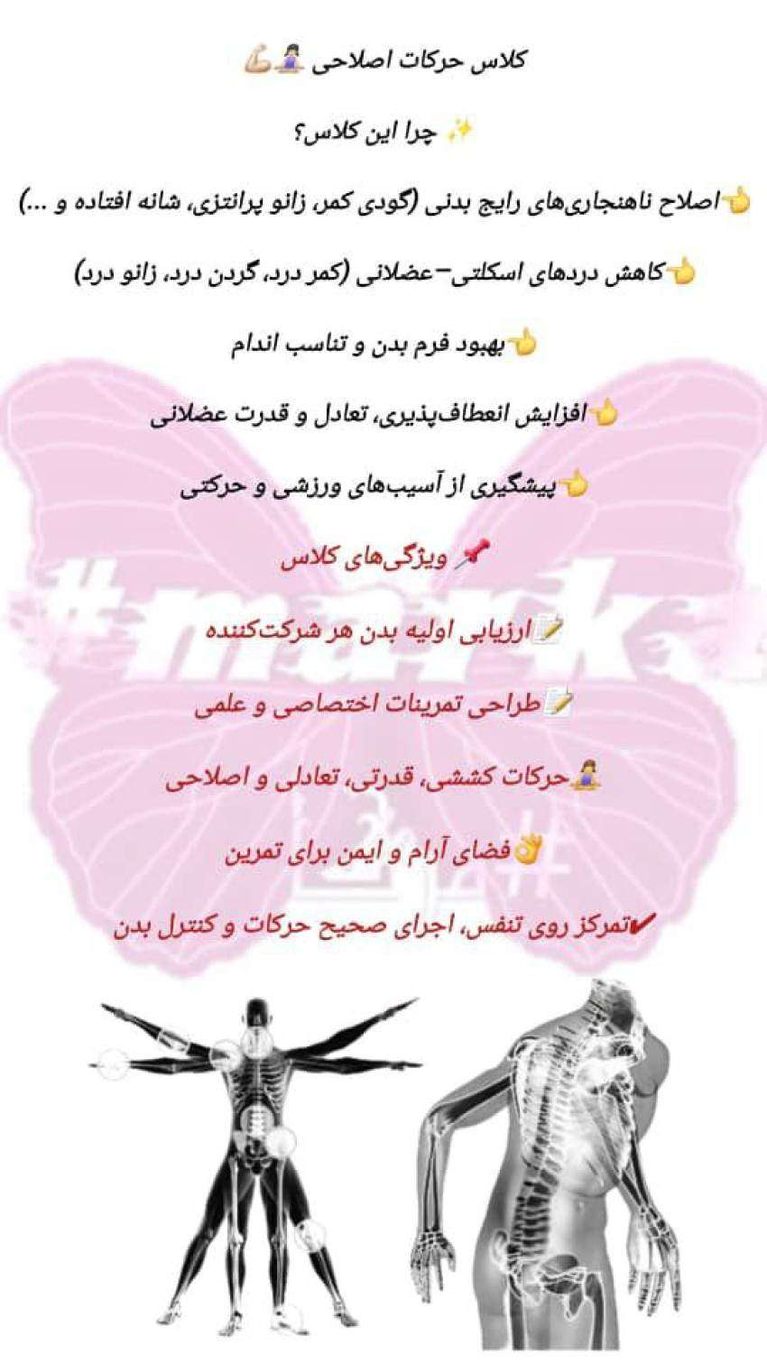 اکرم رشیدی حامد 