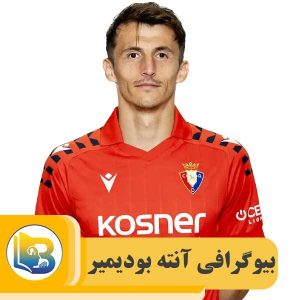 آنته بودیمیر