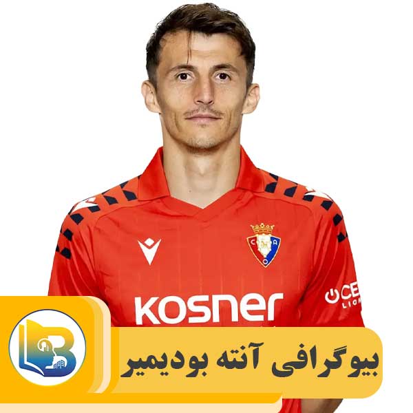 آنته بودیمیر