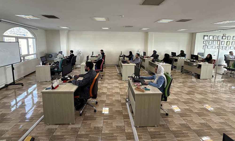 شرکت دارکوب - بیوگرام