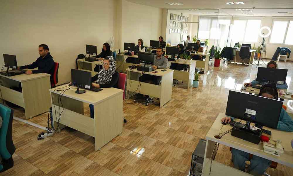 شرکت دارکوب - بیوگرام