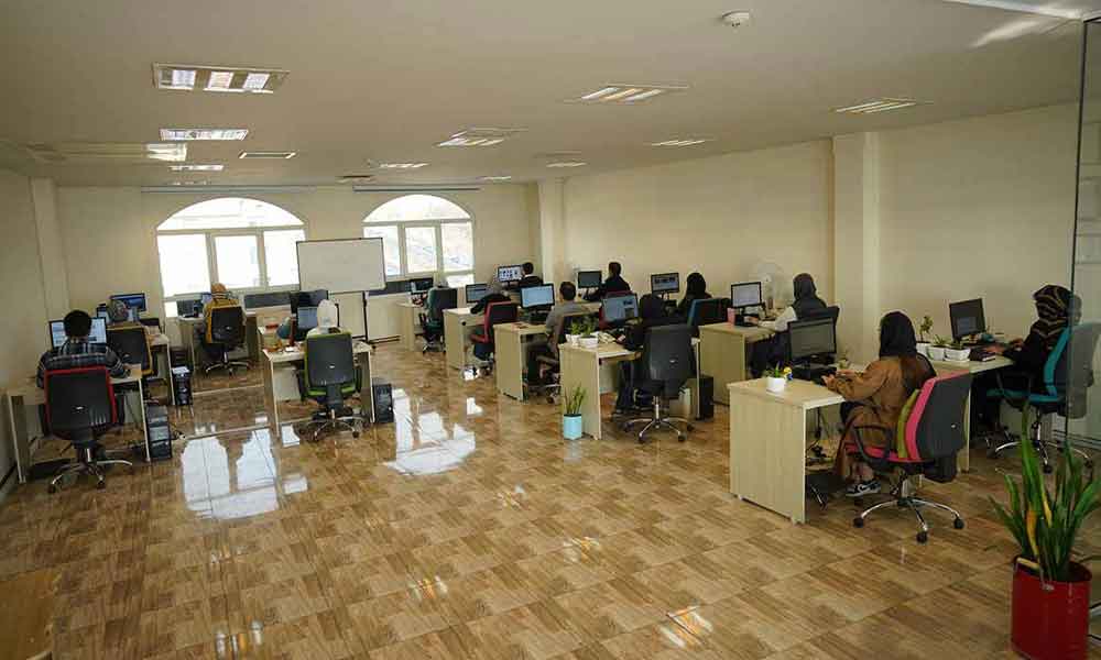 بیوگرافی شرکت دارکوب