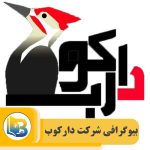 شرکت دارکوب
